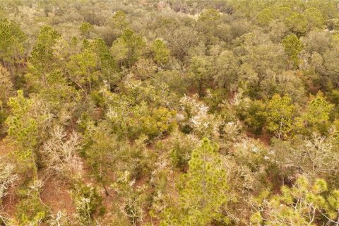 Land in Ormond Beach, Florida № 1535118 - photo 5