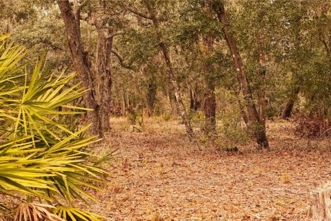 Land in Ormond Beach, Florida № 1535118 - photo 20