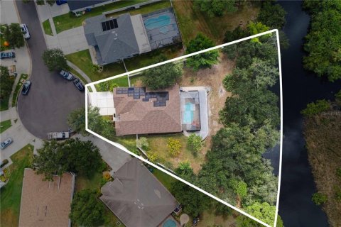 House in Tampa, Florida 5 bedrooms, 235.79 sq.m. № 2098263