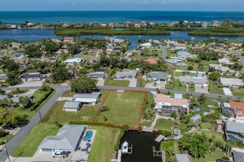 Terreno en venta en Osprey, Florida № 2149312 - foto 11