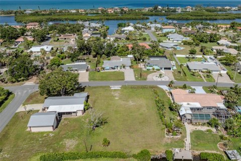 Terreno en venta en Osprey, Florida № 2149312 - foto 6