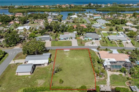 Terreno en venta en Osprey, Florida № 2149312 - foto 7