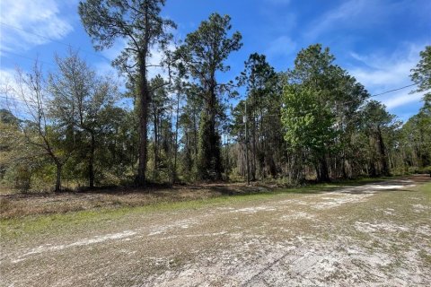 Land in Georgetown, Florida № 2160663 - photo 8