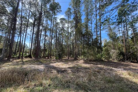Land in Georgetown, Florida № 2160663 - photo 5