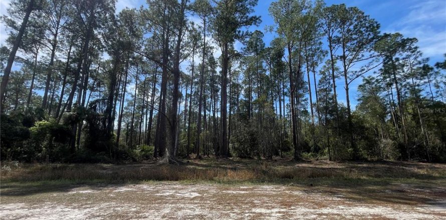 Land in Georgetown, Florida № 2160663