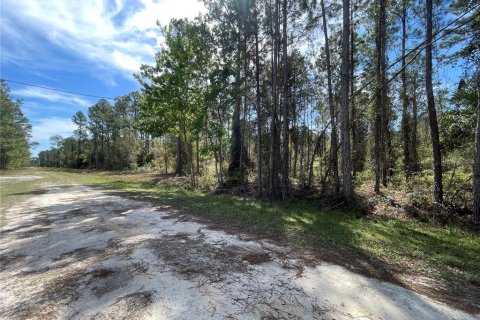 Land in Georgetown, Florida № 2160663 - photo 6