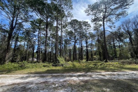 Land in Georgetown, Florida № 2160663 - photo 3