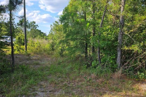 Land in Clermont, Florida № 1200836 - photo 7