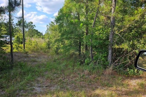 Land in Clermont, Florida № 1200836 - photo 2