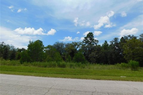 Land in Dunnellon, Florida № 2159388 - photo 3