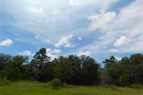 Land in Dunnellon, Florida № 2159388