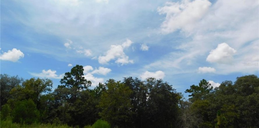 Land in Dunnellon, Florida № 2159388