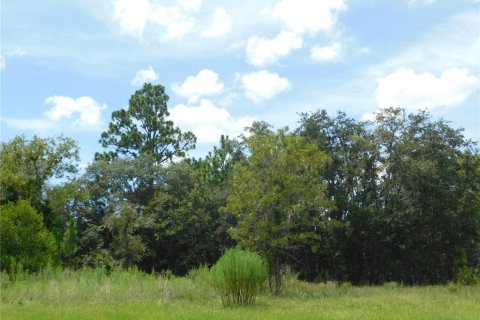 Land in Dunnellon, Florida № 2159388 - photo 5
