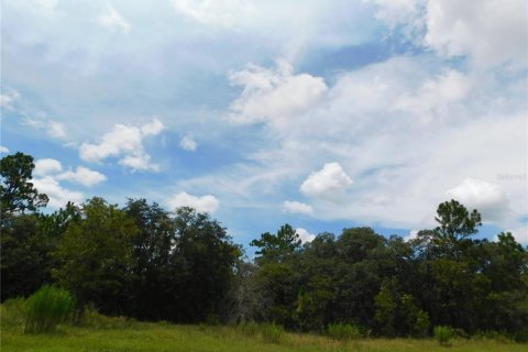 Land in Dunnellon, Florida № 2159388 - photo 2