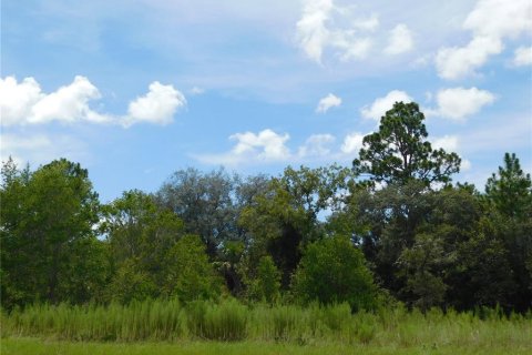Land in Dunnellon, Florida № 2159388 - photo 4