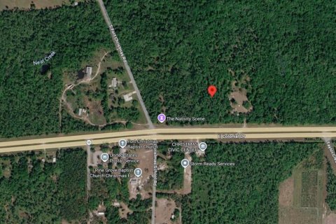 Land in Christmas, Florida № 2115342 - photo 8