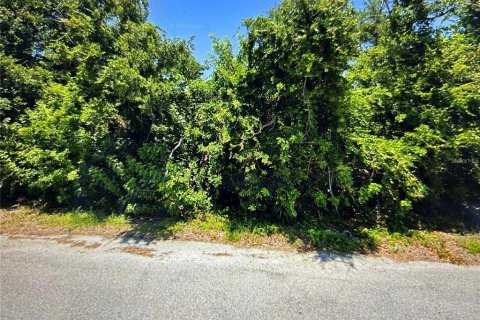 Land in Port Charlotte, Florida № 2204819