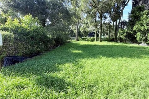Land in Tampa, Florida № 2367228