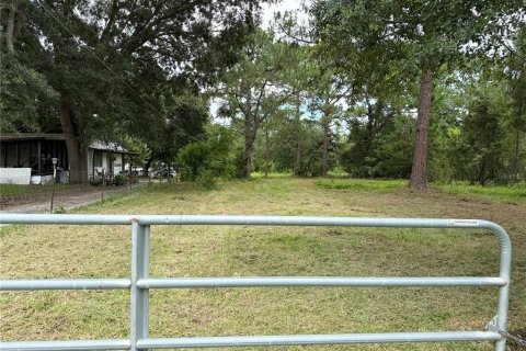 Terreno en Orlando, Florida № 2218491