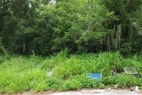 Land in Sanford, Florida № 1767470 - photo 1