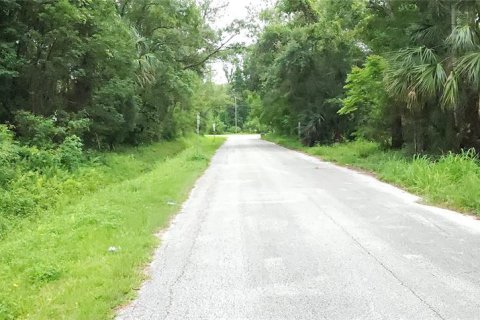 Land in Sanford, Florida № 1767470 - photo 2