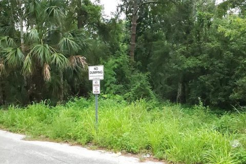 Land in Sanford, Florida № 1767470 - photo 3