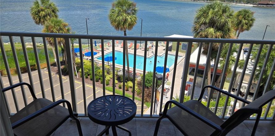 Condo in Tampa, Florida, 1 bedroom  № 1884729