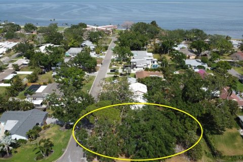 House in Saint Petersburg, Florida 4 bedrooms, 186.83 sq.m. № 1776803 - photo 10