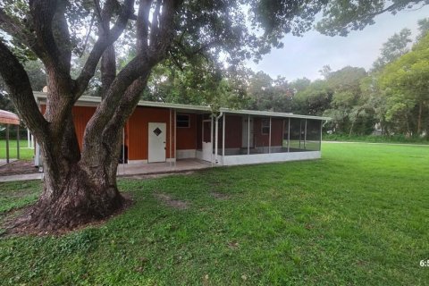 Apartamento en alquiler en Zephyrhills, Florida, 2 dormitorios, 51.1 m2 № 1879599 - foto 1