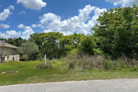 Land in Deltona, Florida № 2214200 - photo 3