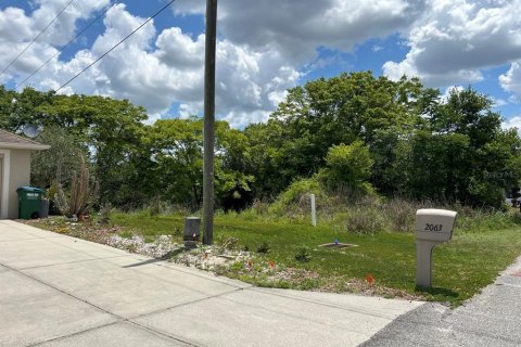 Land in Deltona, Florida № 2214200 - photo 6