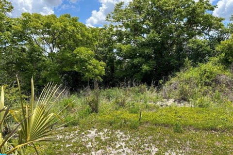 Land in Deltona, Florida № 2214200 - photo 10