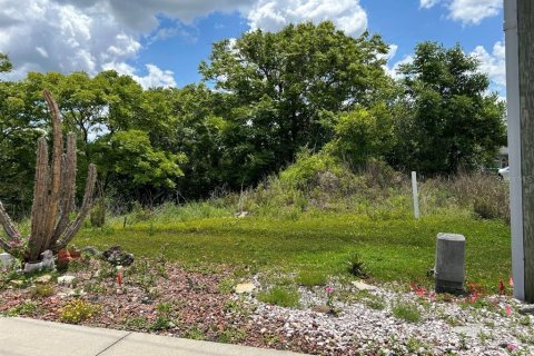 Land in Deltona, Florida № 2214200 - photo 8