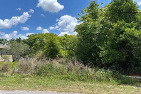 Land in Deltona, Florida № 2214200