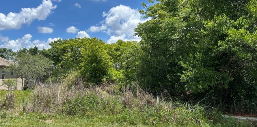 Land in Deltona, Florida № 2214200