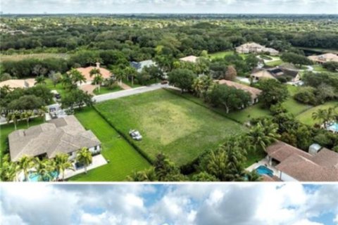 Villa ou maison à vendre à Davie, Floride: 6 chambres № 2169618 - photo 19