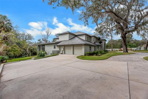 House in Brandon, Florida 6 bedrooms, 759.29 sq.m. № 1766120 - photo 2