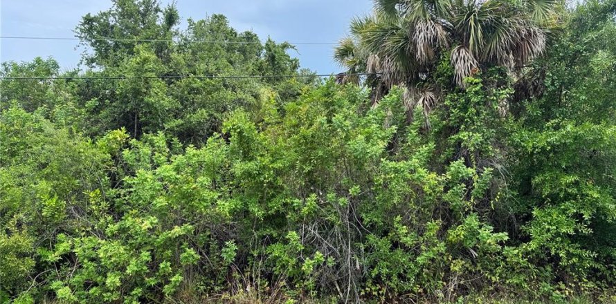 Land in Englewood, Florida № 2229622