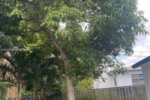 Villa ou maison à louer à Miami, Floride: 2 chambres № 1963671 - photo 14