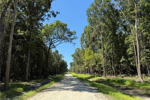 Terreno en venta en Micanopy, Florida № 1917484 - foto 2