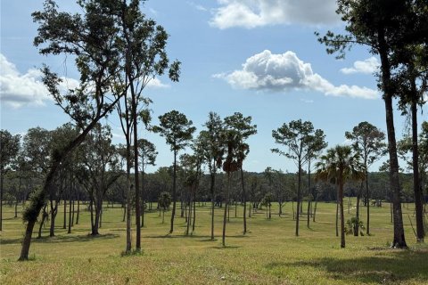 Terreno en venta en Micanopy, Florida № 1917484 - foto 12