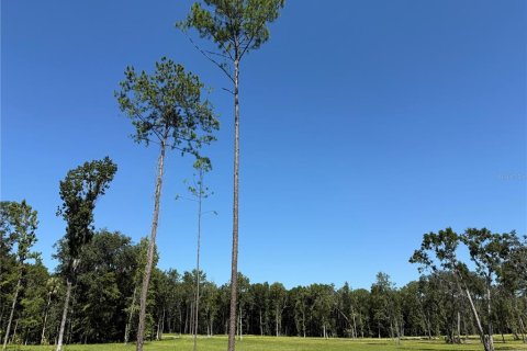 Terreno en venta en Micanopy, Florida № 1917484 - foto 9