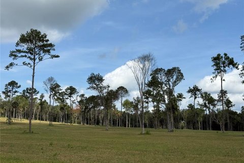 Terreno en venta en Micanopy, Florida № 1917484 - foto 14