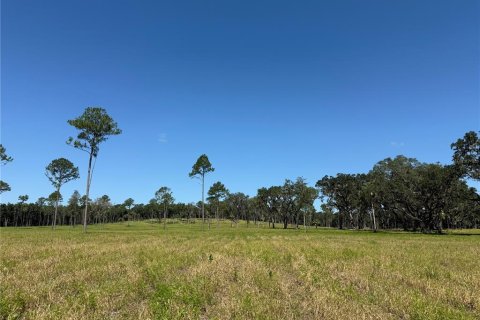 Terreno en venta en Micanopy, Florida № 1917484 - foto 5
