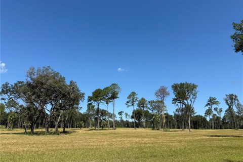 Terreno en venta en Micanopy, Florida № 1917484 - foto 8