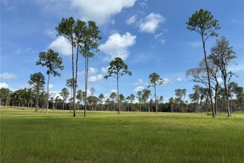 Terreno en venta en Micanopy, Florida № 1917484 - foto 13