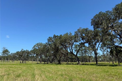 Terreno en venta en Micanopy, Florida № 1917484 - foto 6