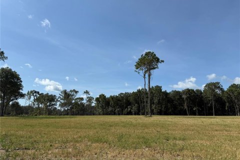 Terreno en venta en Micanopy, Florida № 1917484 - foto 11