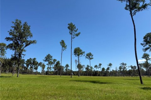 Terreno en venta en Micanopy, Florida № 1917484 - foto 1