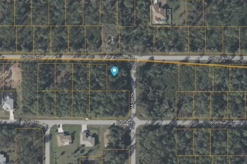 Terrain à Port Charlotte, Floride № 2160929